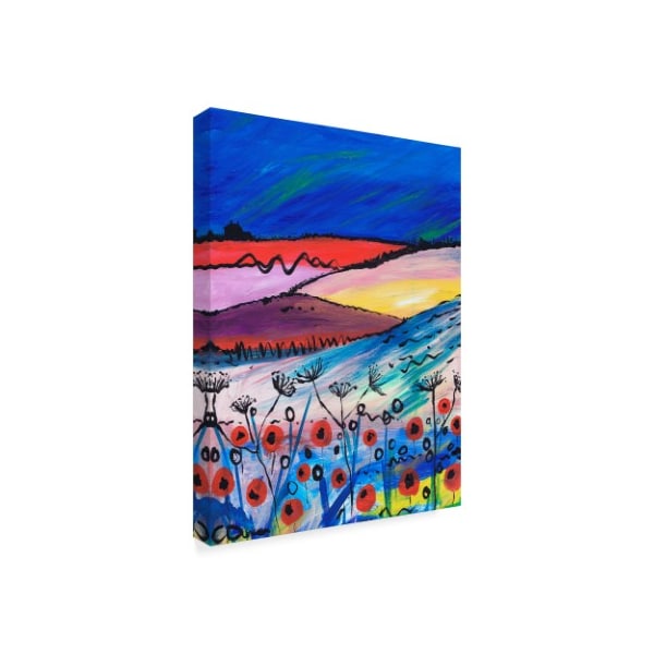 Caroline Duncan Art 'Night Falling' Canvas Art,35x47